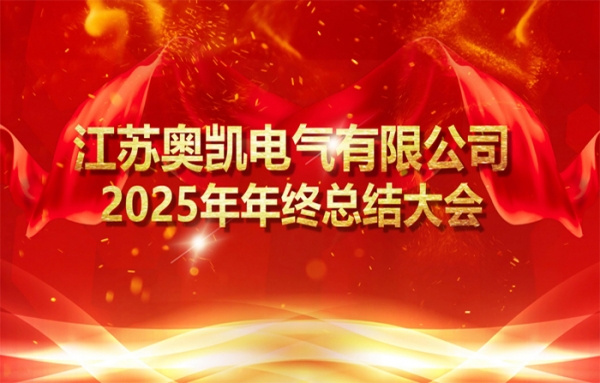 凝心聚力谋发展 砥砺奋进启新程——宝运莱2025年年终会议圆满召开