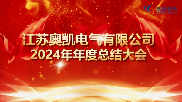 2024年江苏宝运莱电气员工年度总结大会